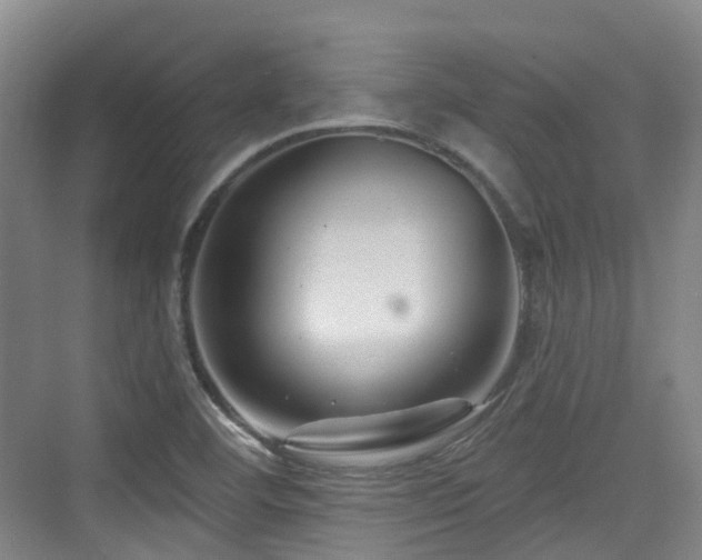 X0000073931460200608111148