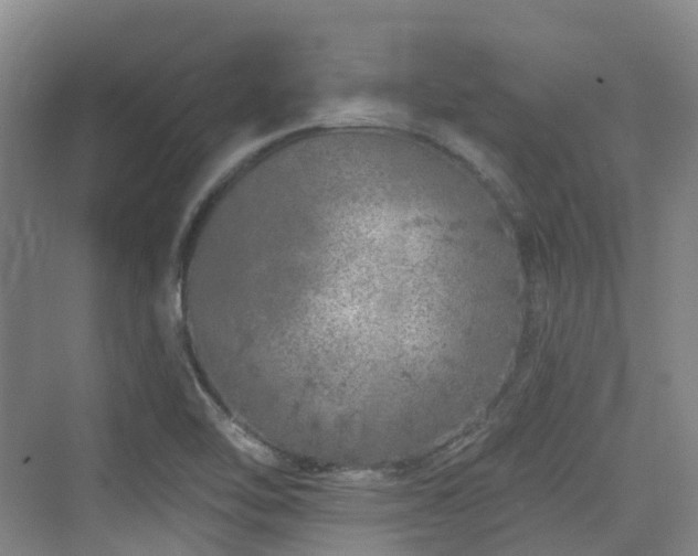 X0000073931462200608111148