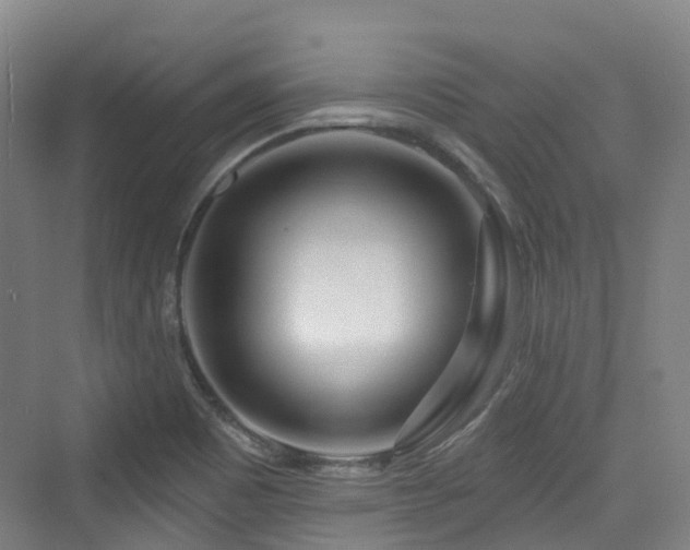 X0000073931465200608111147