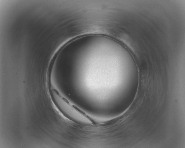 X0000073931468200608111147