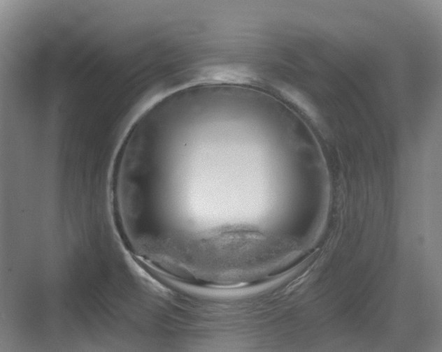 X0000073931471200608111147