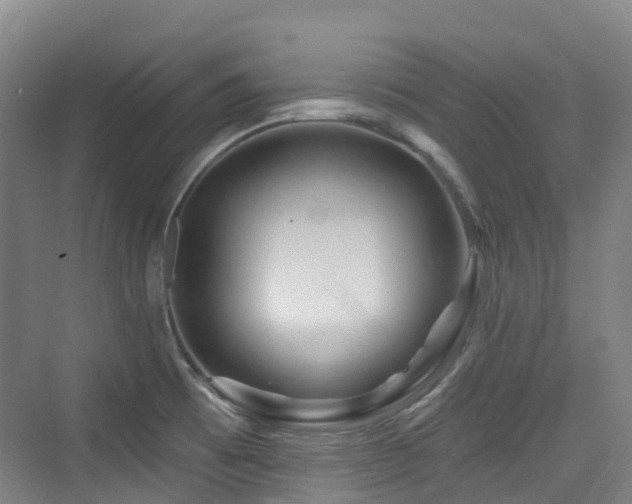 X0000073931473200608111147