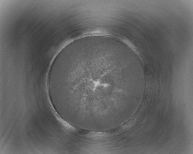 X0000073931474200608111147