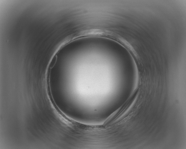 X0000073931475200608111147