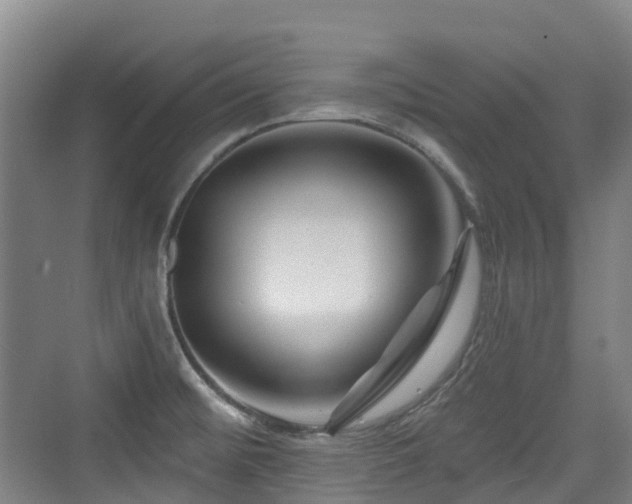 X0000073931476200608111147
