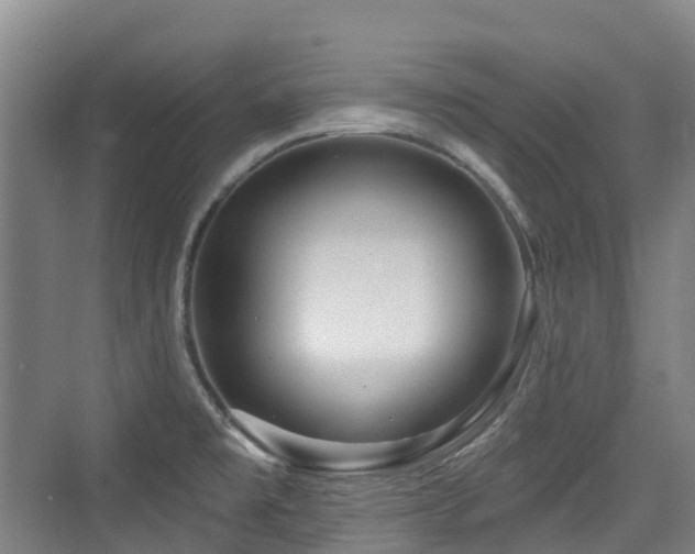 X0000073931477200608111147