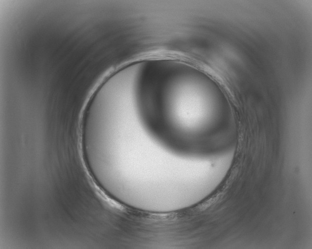 X0000073931478200608111147