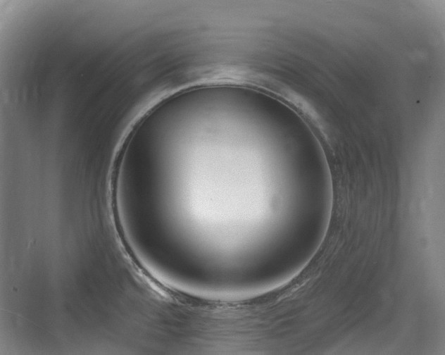X0000073931480200608111147