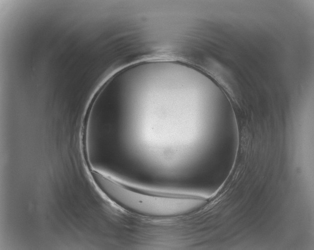 X0000073931484200608111147