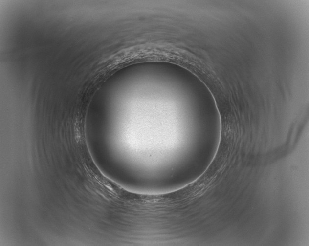 X0000073931490200608111146