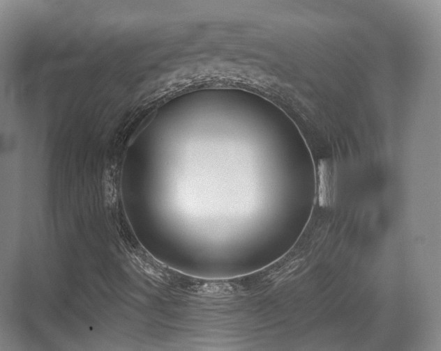 X0000073931491200608111146