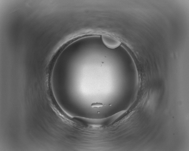 X0000073931503200608111147