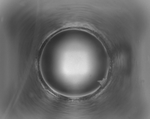 X0000073931505200608111147