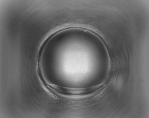X0000073931511200608111147