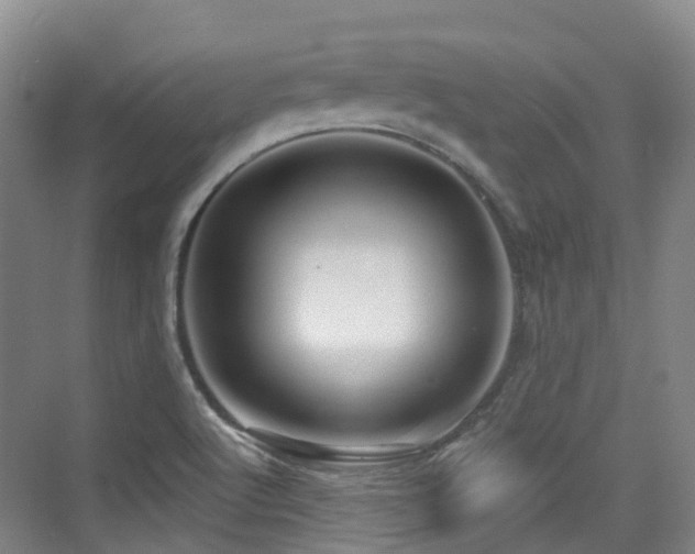 X0000073931512200608111147