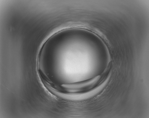 X0000073931520200608111147