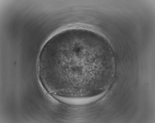 X0000073931522200608111147