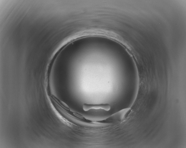 X0000073931523200608111147