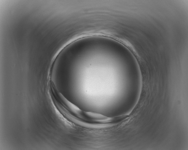 X0000073931524200608111147