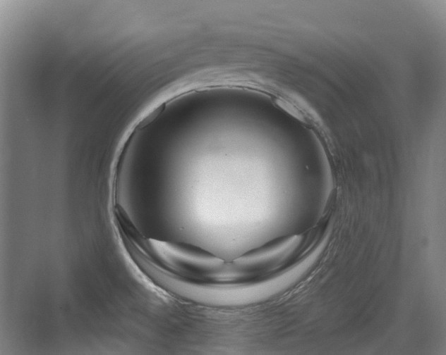 X0000073931528200608111147