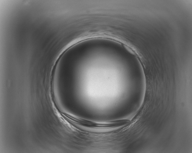 X0000073931534200608111147