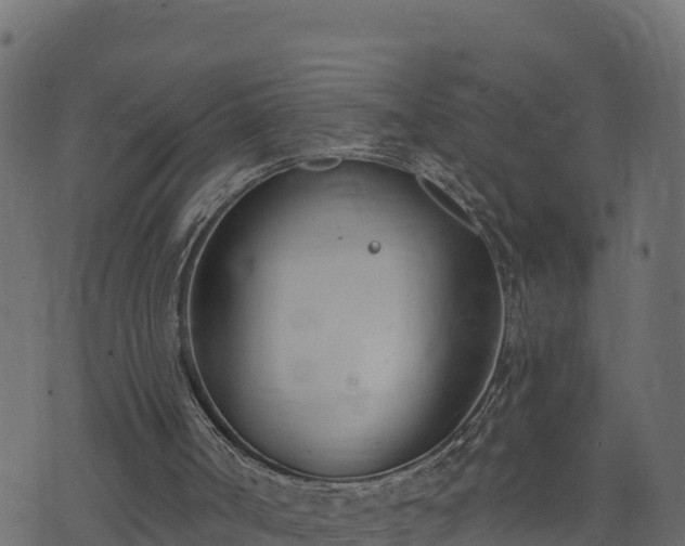 X0000073930002200608181126