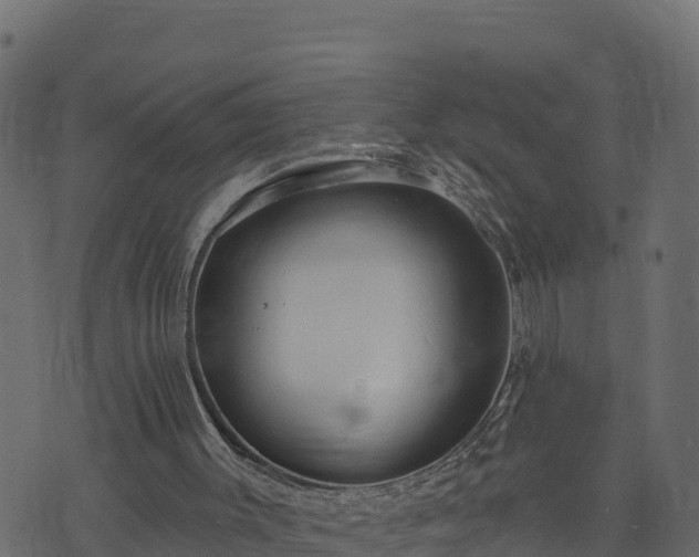 X0000073930003200608181126