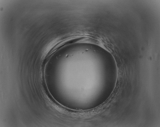 X0000073930005200608181126