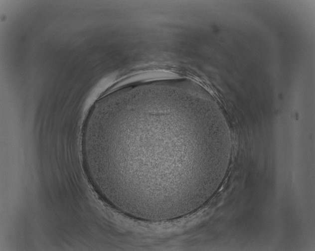 X0000073930006200608181126