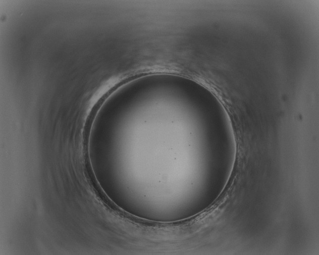 X0000073930008200608181126