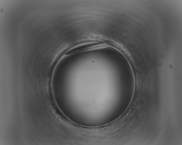 X0000073930010200608181126