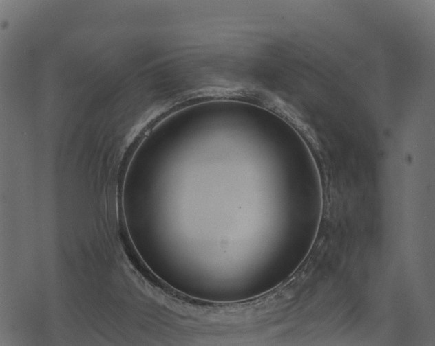 X0000073930011200608181126