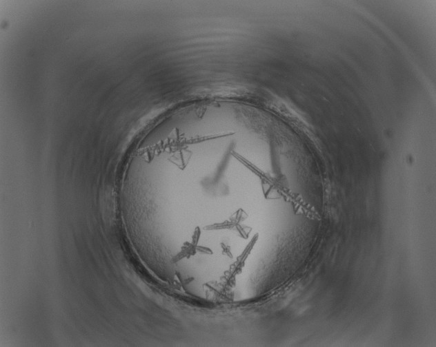 X0000073930012200608181126