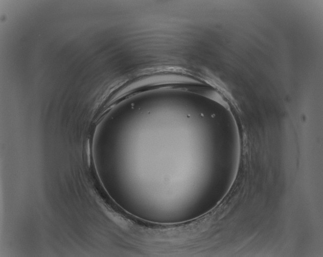 X0000073930013200608181126