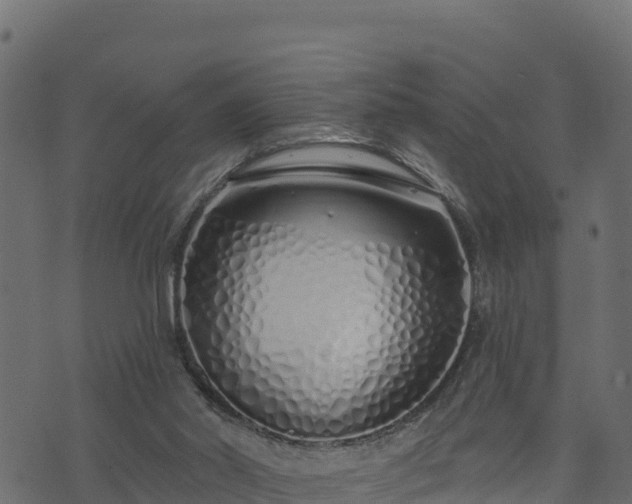 X0000073930014200608181126