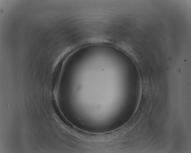 X0000073930015200608181126