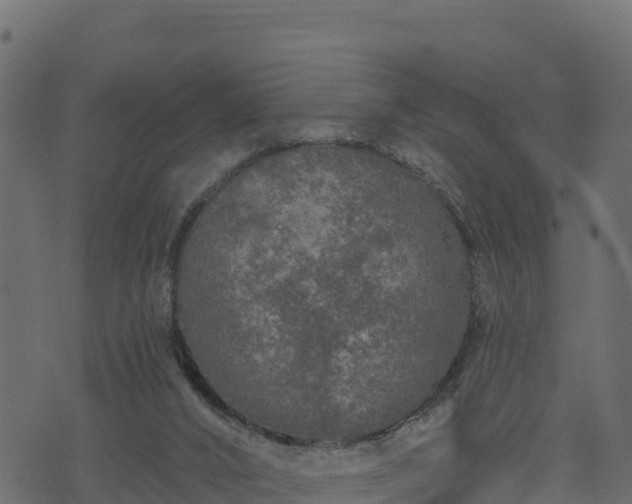 X0000073930016200608181126