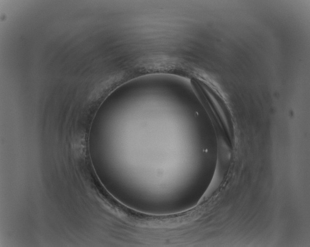 X0000073930017200608181126