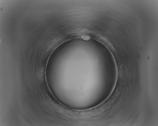 X0000073930018200608181126