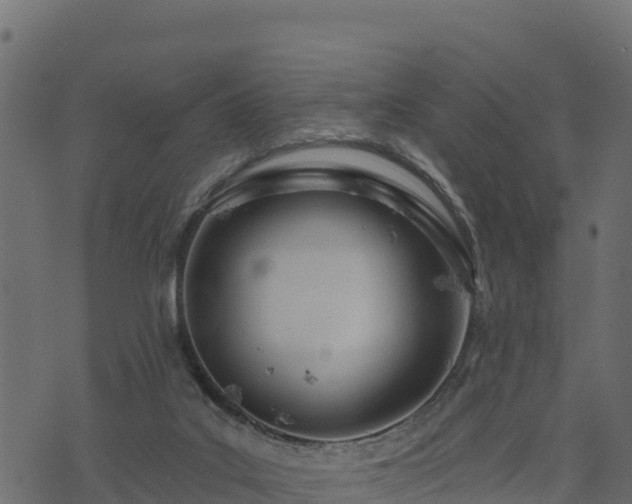 X0000073930019200608181126