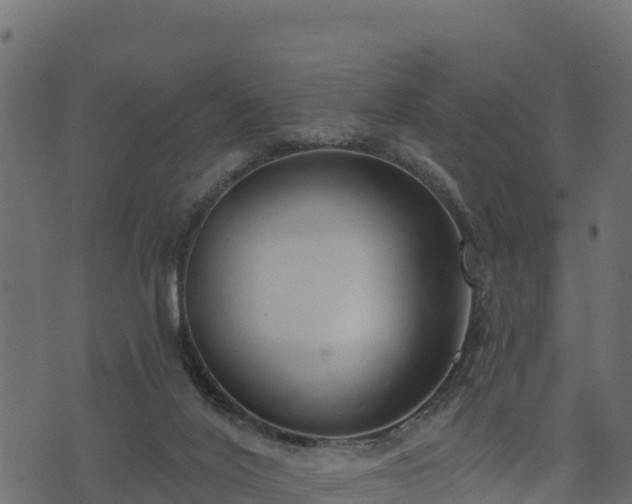 X0000073930020200608181126