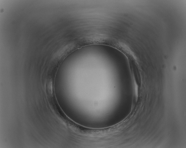 X0000073930021200608181126