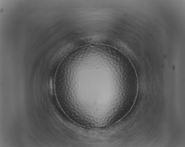 X0000073930022200608181126