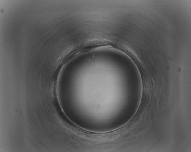 X0000073930023200608181126