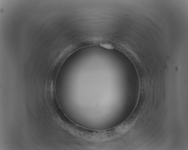 X0000073930024200608181126