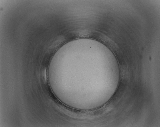 X0000073930028200608181126