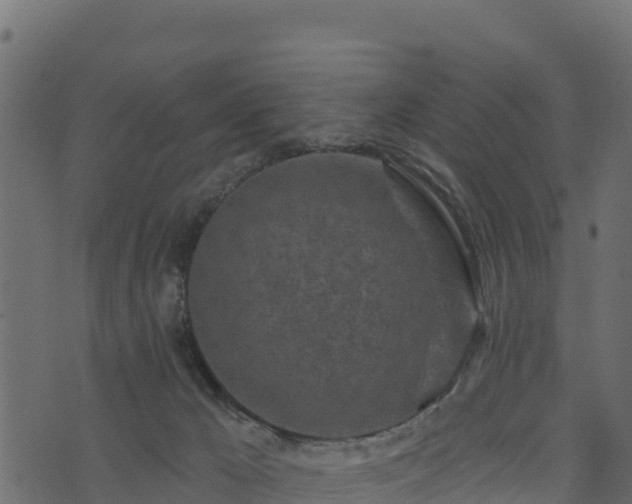 X0000073930029200608181126