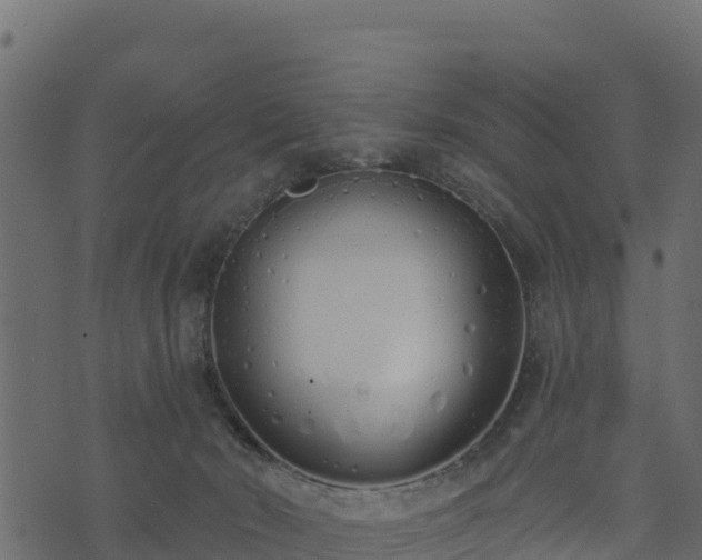 X0000073930030200608181126