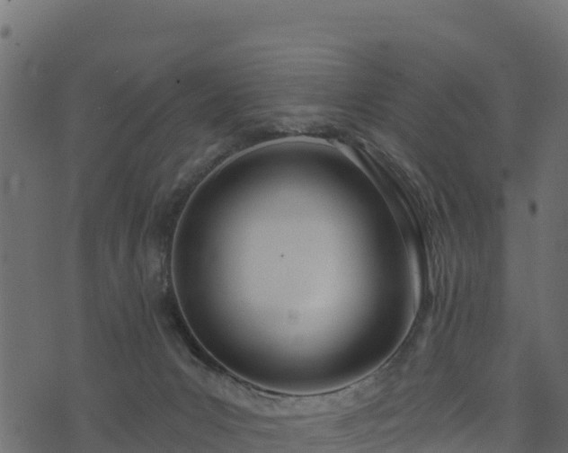 X0000073930031200608181125