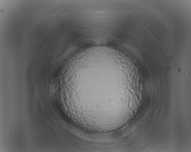 X0000073930032200608181125